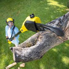 Best Sod Installation  in Kirkland, WA