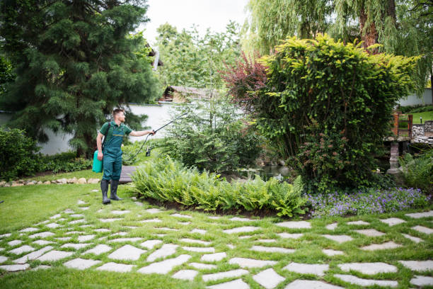 Best Tree Trimming and Pruning  in Kirkland, WA