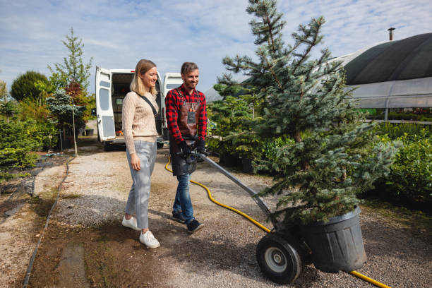 Best Root Management and Removal  in Kirkland, WA